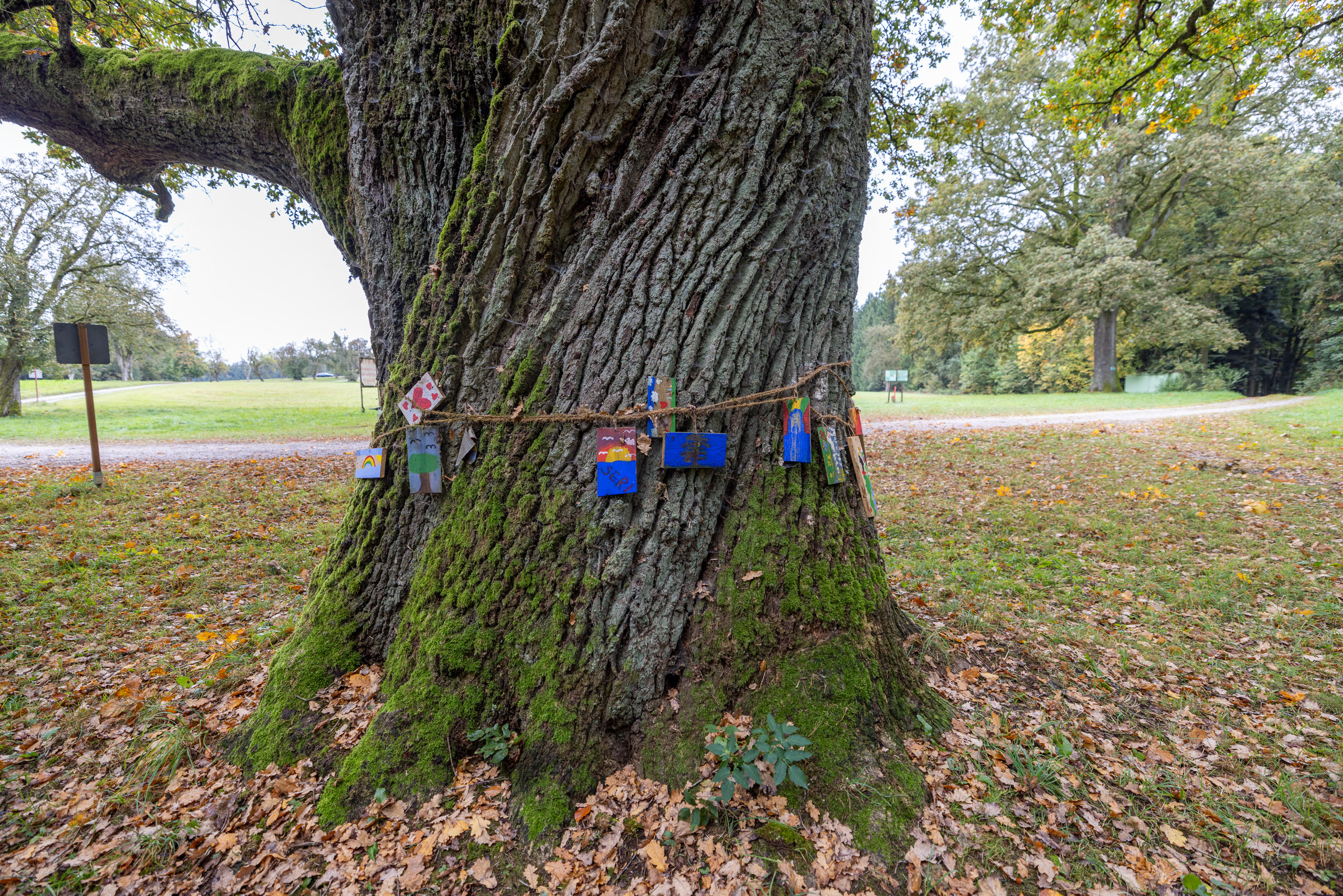 20231015104946 R5D 4348